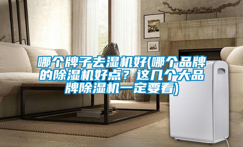 哪個牌子去濕機好(哪個品牌的除濕機好點?這幾個大品牌除濕機一定要看)