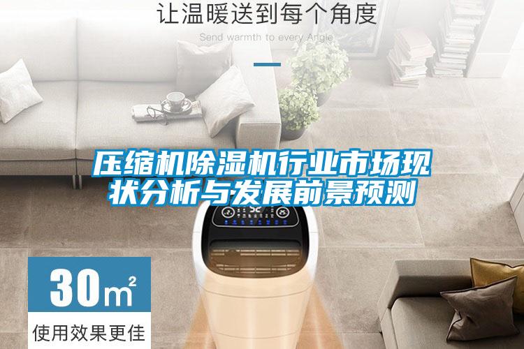 壓縮機除濕機行業市場現狀分析與發展前景預測