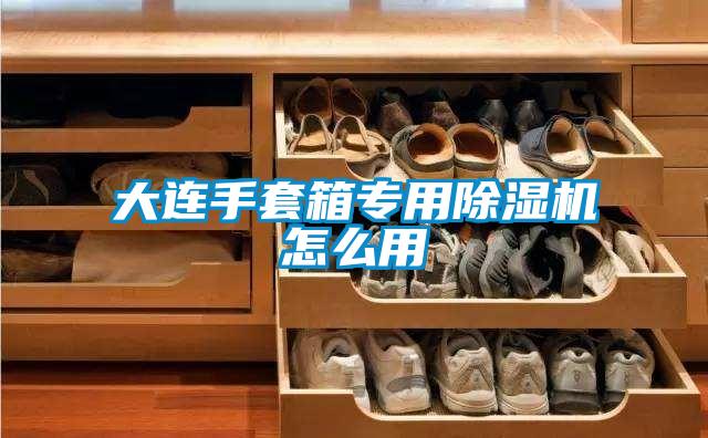 大連手套箱專用除濕機怎么用