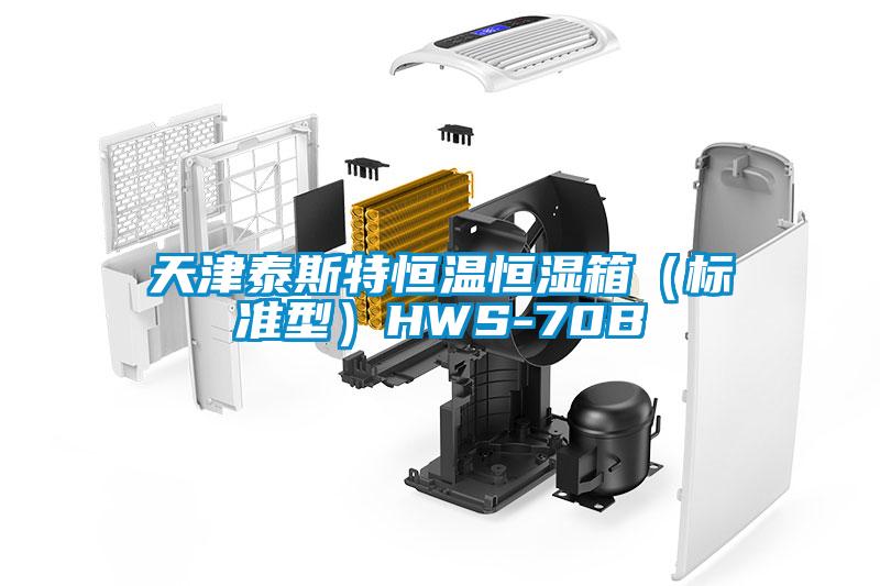 天津泰斯特恒溫恒濕箱(標(biāo)準(zhǔn)型)HWS-70B