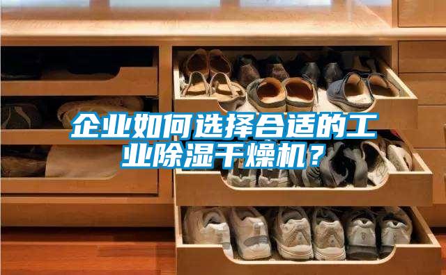 企業如何選擇合適的工業除濕干燥機？