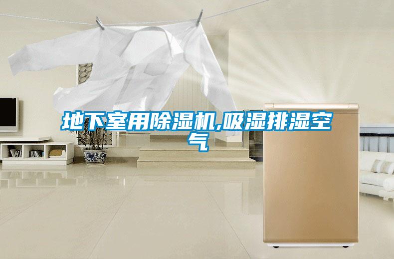 地下室用除濕機(jī),吸濕排濕空氣