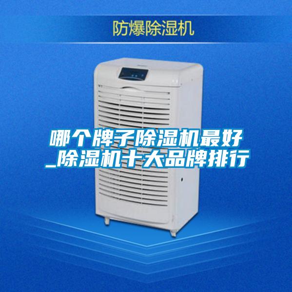 哪個牌子除濕機最好_除濕機十大品牌排行