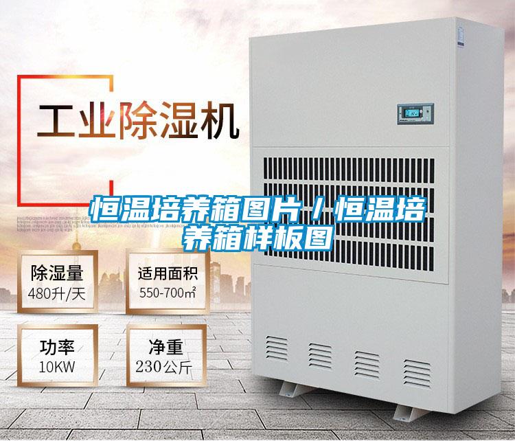 恒溫培養箱圖片／恒溫培養箱樣板圖