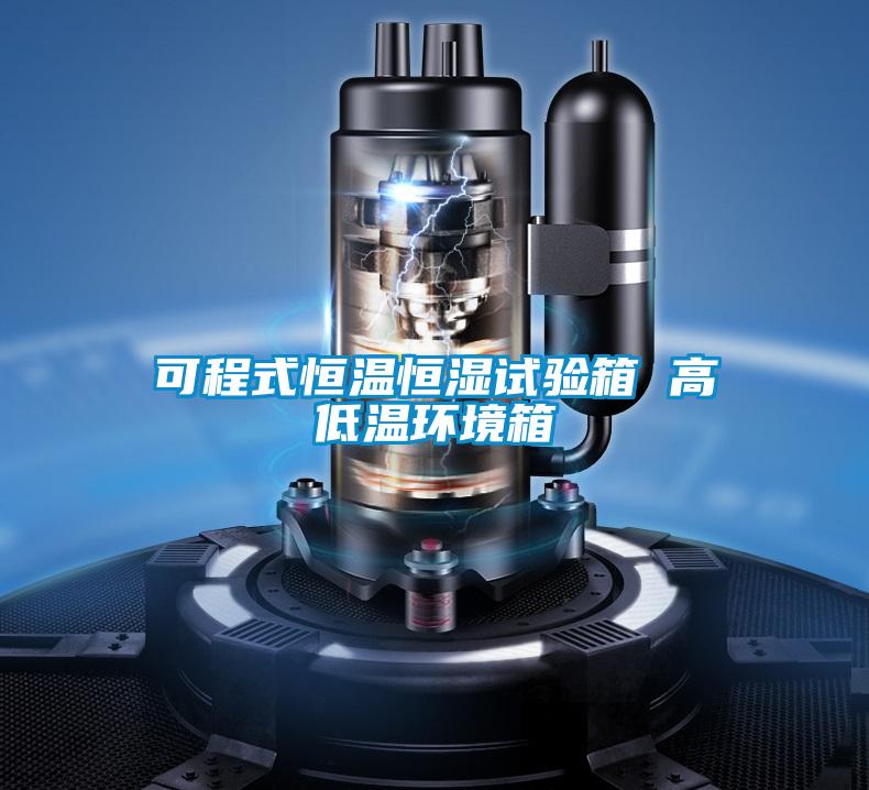 可程式恒溫恒濕試驗箱 高低溫環境箱