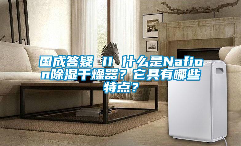 國成答疑 II 什么是Nafion除濕干燥器?它具有哪些特點?
