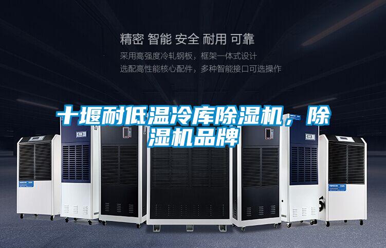 十堰耐低溫冷庫除濕機，除濕機品牌