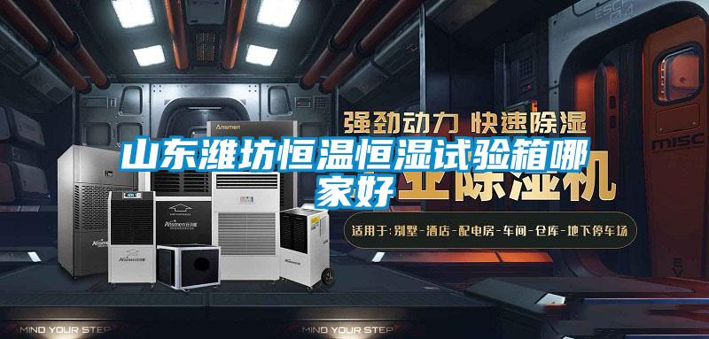 山東濰坊恒溫恒濕試驗(yàn)箱哪家好