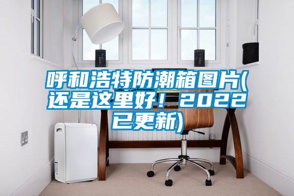 呼和浩特防潮箱圖片(還是這里好！2022已更新)