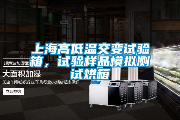 上海高低溫交變試驗箱，試驗樣品模擬測試烘箱