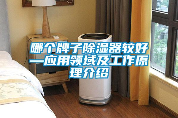哪個牌子除濕器較好—應用領域及工作原理介紹