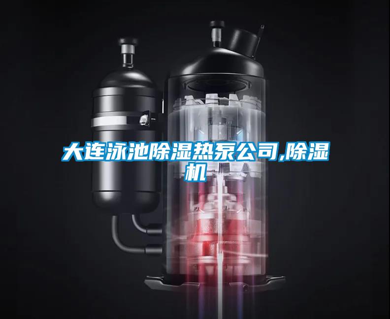 大連泳池除濕熱泵公司,除濕機
