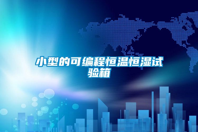 小型的可編程恒溫恒濕試驗箱