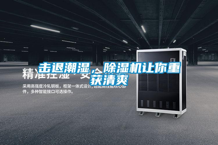 擊退潮濕，除濕機讓你重獲清爽