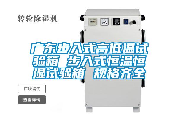 廣東步入式高低溫試驗(yàn)箱 步入式恒溫恒濕試驗(yàn)箱 規(guī)格齊全