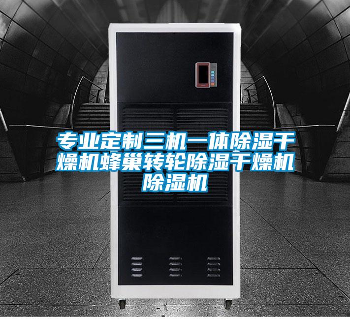 專業定制三機一體除濕干燥機蜂巢轉輪除濕干燥機除濕機
