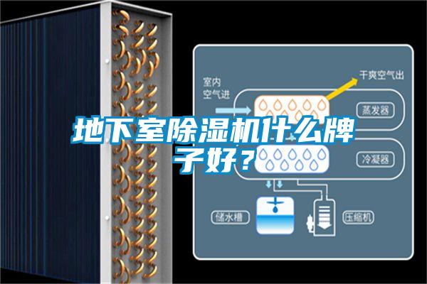 地下室除濕機什么牌子好？