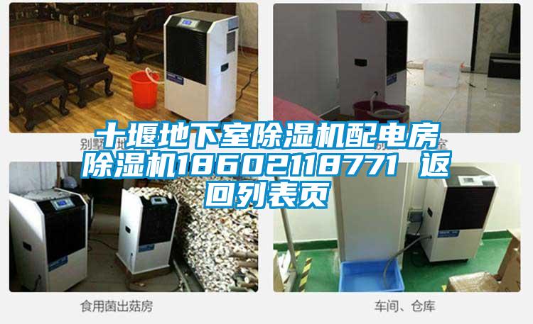 十堰地下室除濕機(jī)配電房除濕機(jī)18602118771 返回列表頁(yè)