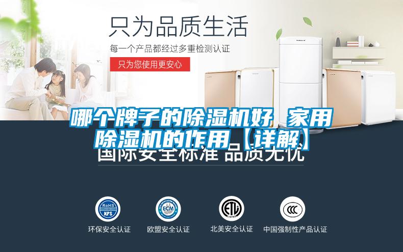 哪個牌子的除濕機好 家用除濕機的作用【詳解】