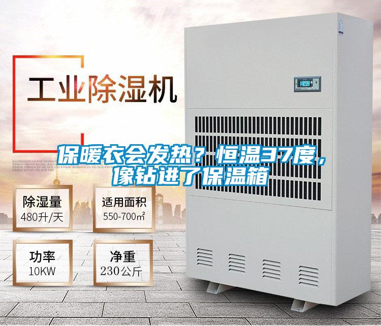 保暖衣會發熱？恒溫37度，像鉆進了保溫箱