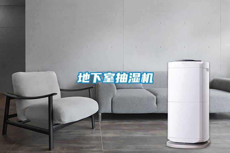 地下室抽濕機
