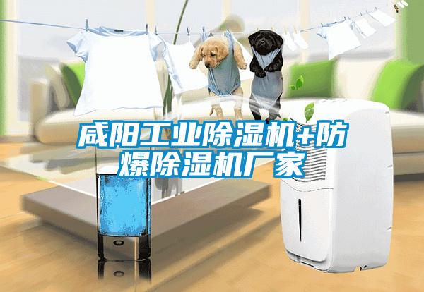 咸陽工業(yè)除濕機+防爆除濕機廠家