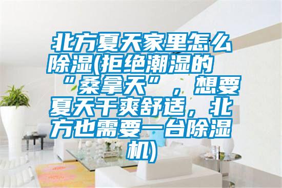 北方夏天家里怎么除濕(拒絕潮濕的“桑拿天”，想要夏天干爽舒適，北方也需要一臺除濕機)