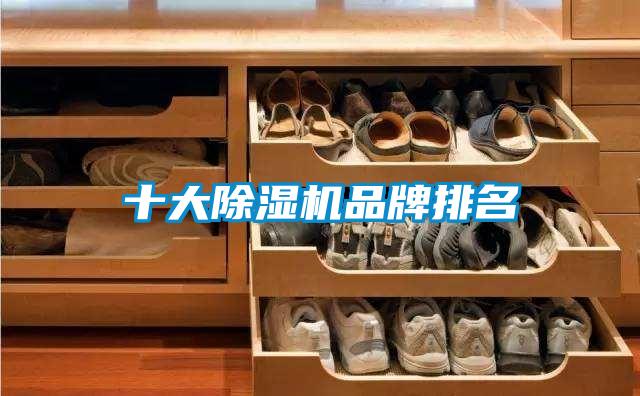 十大除濕機品牌排名
