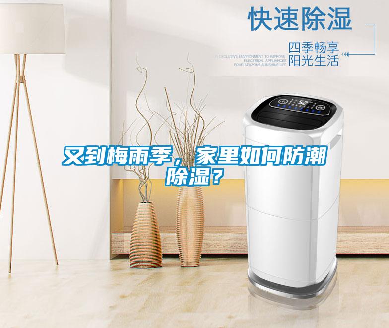 又到梅雨季,家里如何防潮除濕?