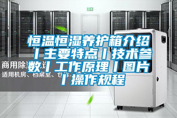 恒溫恒濕養護箱介紹丨主要特點丨技術參數丨工作原理丨圖片丨操作規程