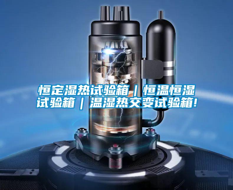 恒定濕熱試驗箱｜恒溫恒濕試驗箱｜溫濕熱交變試驗箱!