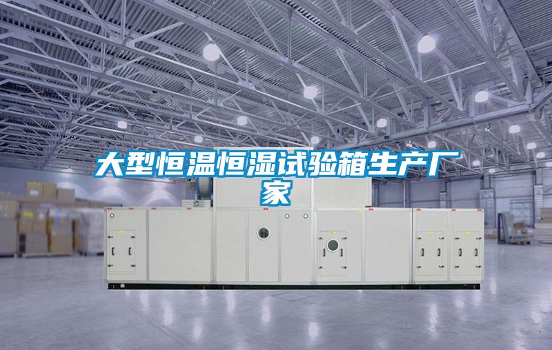 大型恒溫恒濕試驗(yàn)箱生產(chǎn)廠家