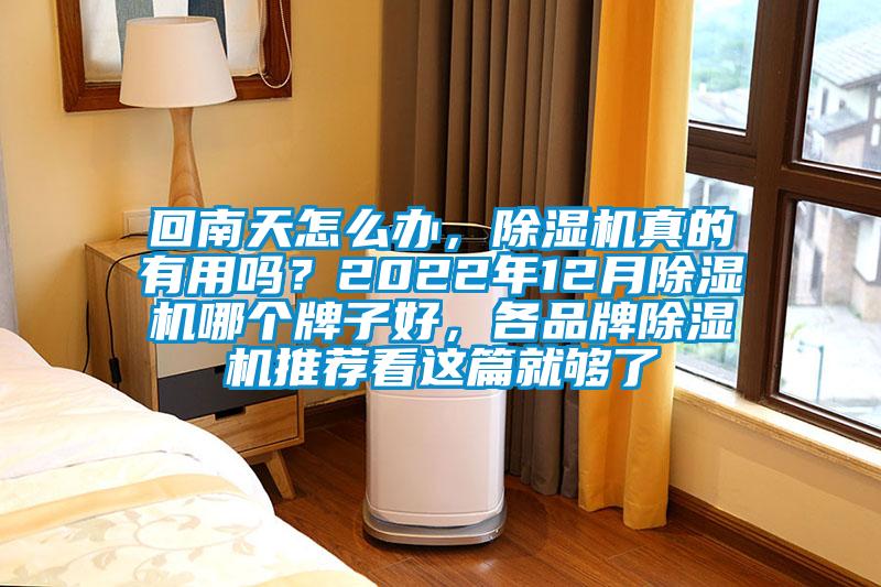 回南天怎么辦，除濕機真的有用嗎？2022年12月除濕機哪個牌子好，各品牌除濕機推薦看這篇就夠了