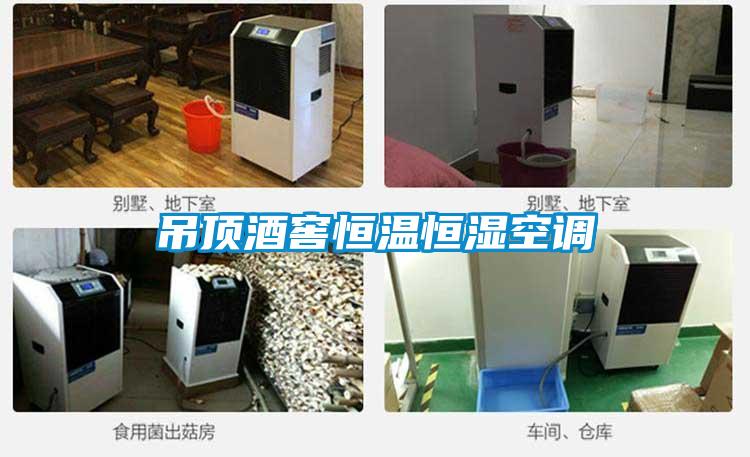 吊頂酒窖恒溫恒濕空調