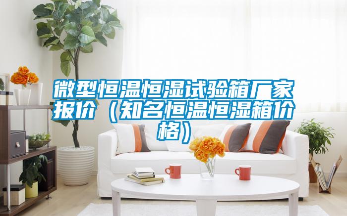 微型恒溫恒濕試驗箱廠家報價（知名恒溫恒濕箱價格）