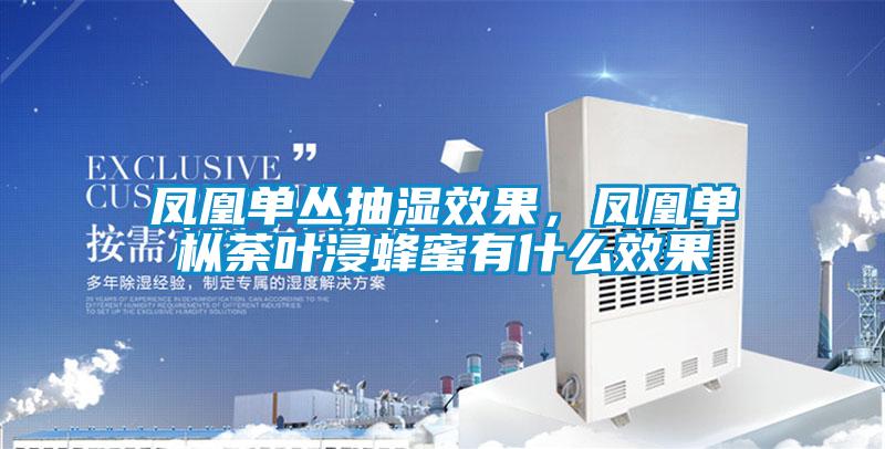 鳳凰單叢抽濕效果，鳳凰單樅荼葉浸蜂蜜有什么效果