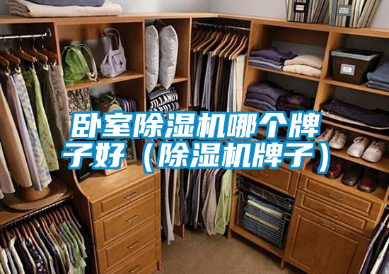 臥室除濕機哪個牌子好（除濕機牌子）