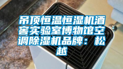 吊頂恒溫恒濕機(jī)酒窖實(shí)驗(yàn)室博物館空調(diào)除濕機(jī)品牌:松越