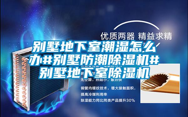 別墅地下室潮濕怎么辦#別墅防潮除濕機#別墅地下室除濕機