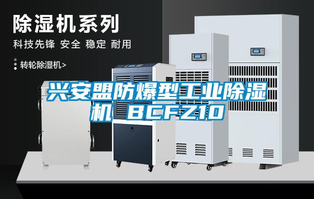 興安盟防爆型工業除濕機 BCFZ10