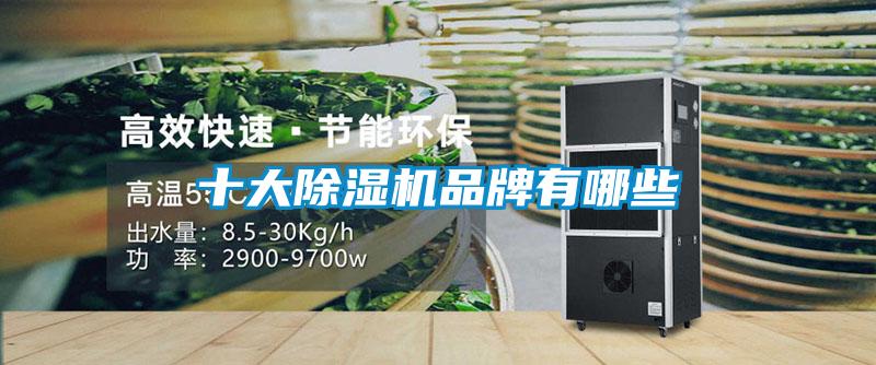 十大除濕機品牌有哪些