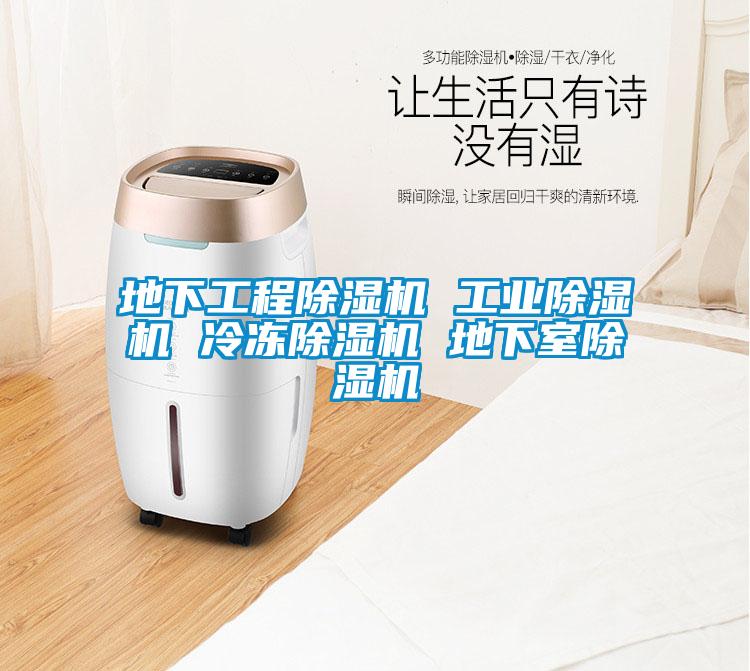 地下工程除濕機(jī) 工業(yè)除濕機(jī) 冷凍除濕機(jī) 地下室除濕機(jī)