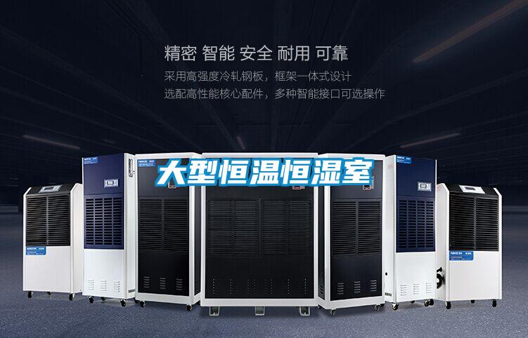 大型恒溫恒濕室