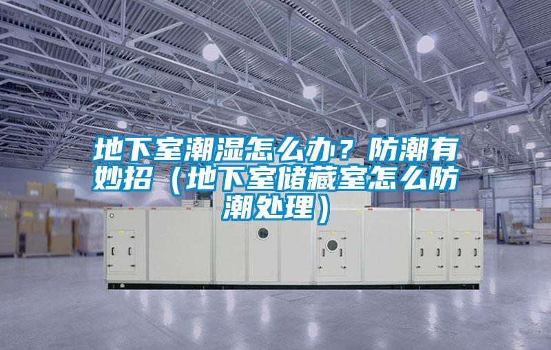 地下室潮濕怎么辦？防潮有妙招（地下室儲藏室怎么防潮處理）