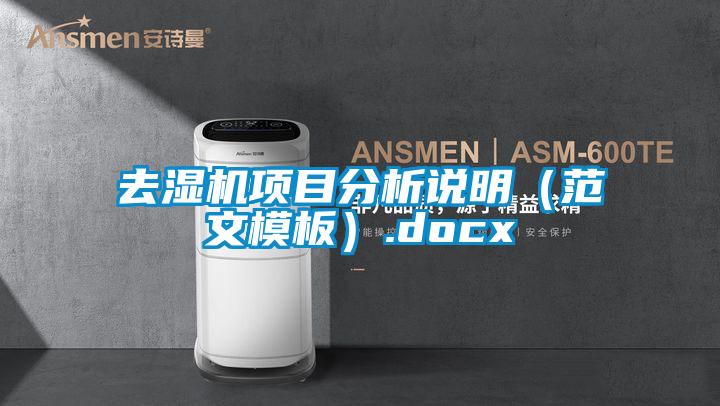 去濕機項目分析說明（范文模板）.docx