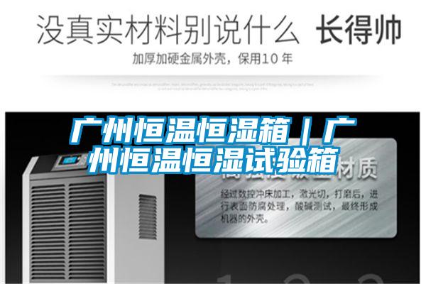 廣州恒溫恒濕箱｜廣州恒溫恒濕試驗箱