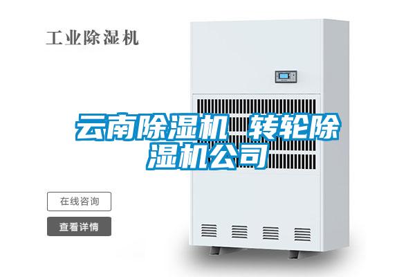 云南除濕機(jī) 轉(zhuǎn)輪除濕機(jī)公司