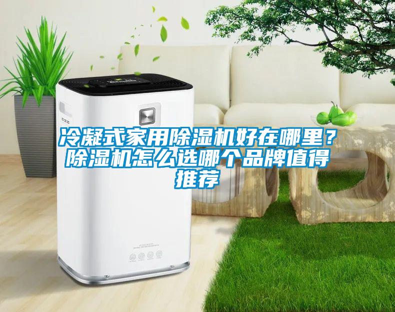 冷凝式家用除濕機(jī)好在哪里？除濕機(jī)怎么選哪個(gè)品牌值得推薦