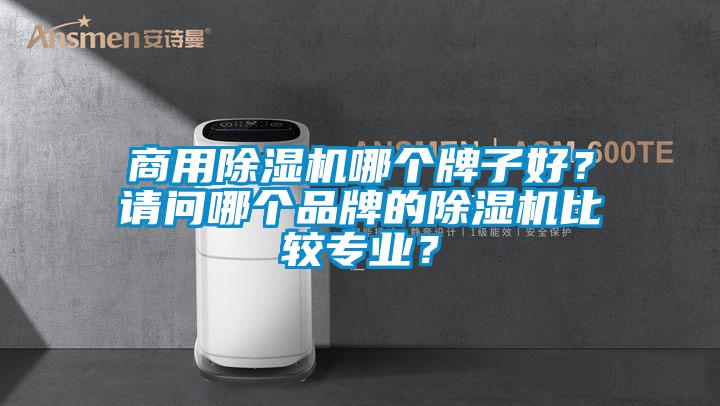 商用除濕機哪個牌子好？請問哪個品牌的除濕機比較專業(yè)？