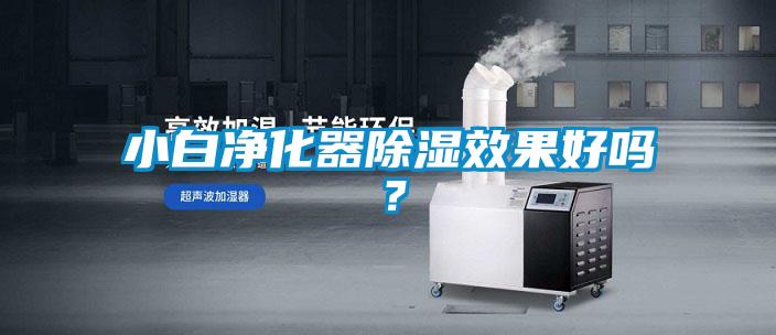小白凈化器除濕效果好嗎？